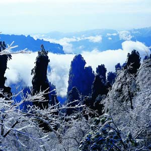 LD線：張家界、天子山、楊家界、猛洞河漂流純玩四日游