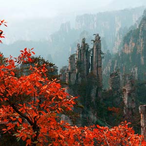 休閑自駕E線：張家界、袁家界、天子山、寶峰湖、鳳凰古城、沱江泛舟四晚五日游