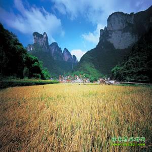 張家界往返純玩散拼：矮寨大橋、德夯苗寨、鳳凰古城、芙蓉鎮(zhèn)二日游